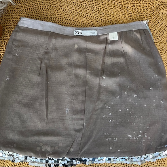 Zara Sequins Mini Skirt - Picture 9 of 10